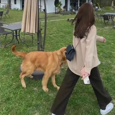 科学怪物